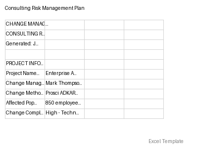 Risk Management Plan preview